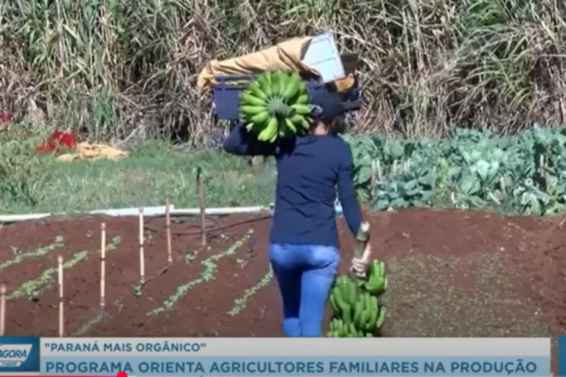 Programa Paraná Mais Orgânico orienta para certificação de produtos orgânicos